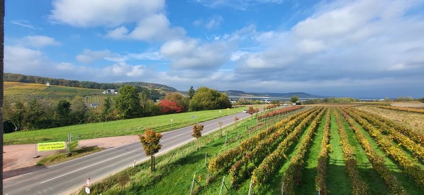 SCHÖNER AUSBLICK INS GRÜNE