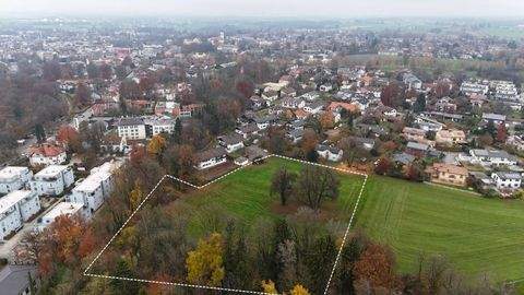 Bad Aibling Bauernhöfe, Landwirtschaft, Bad Aibling Forstwirtschaft