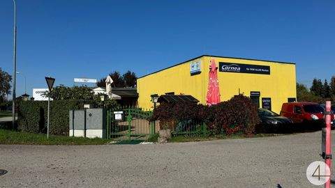 Zeiselmauer Häuser, Zeiselmauer Haus kaufen