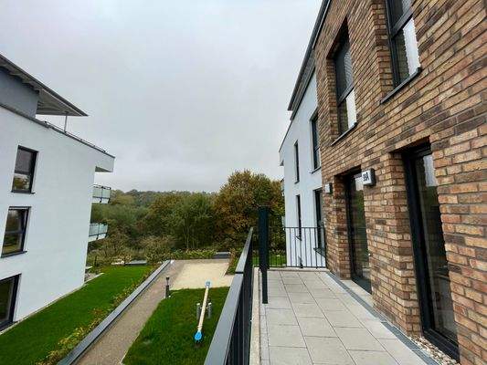 Blick ins Naturschutzgebiet