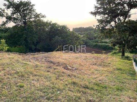 Svetvincenat Bauernhöfe, Landwirtschaft, Svetvincenat Forstwirtschaft