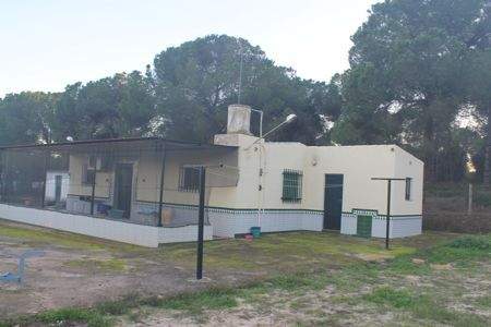 Rociana del Condado Häuser, Rociana del Condado Haus kaufen