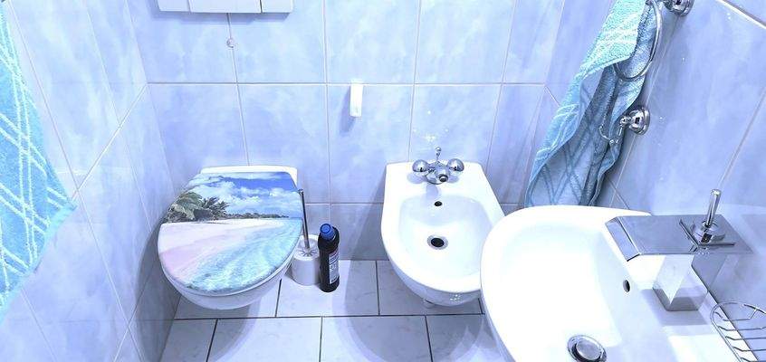 Gäste Toilette Haupthaus