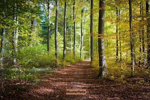 Schlüßlberg Bauernhöfe, Landwirtschaft, Schlüßlberg Forstwirtschaft