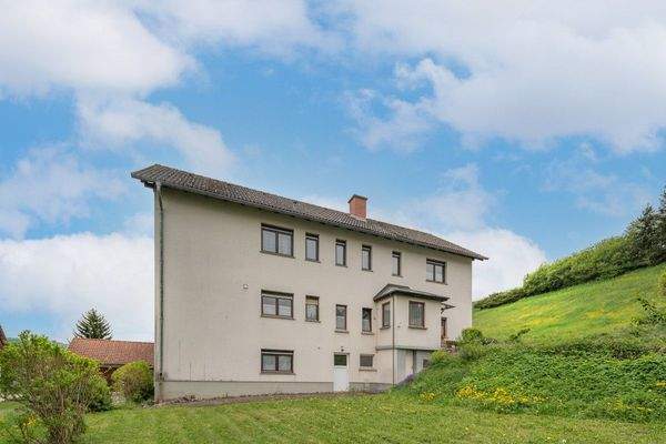 Geisingen Leipferdingen (20)