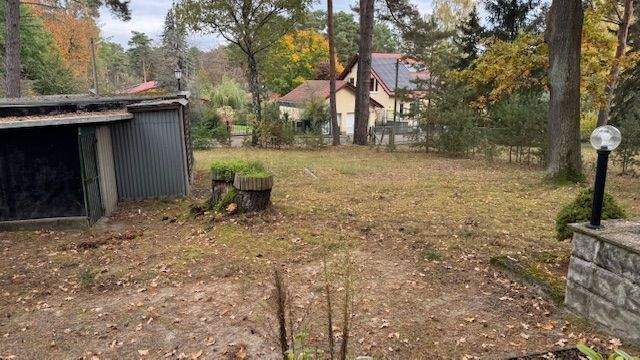 Blick vom Grundstück zur Straße.jpg