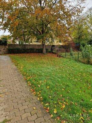 Gemeinschaftlicher Garten