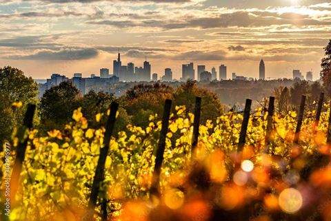 Frankfurt am Main Grundstücke, Frankfurt am Main Grundstück kaufen