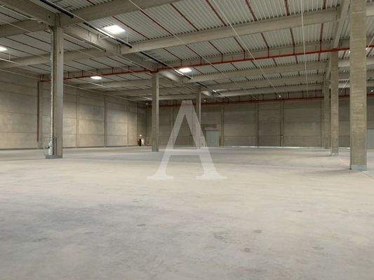 Lagerhalle Miete Frechen 