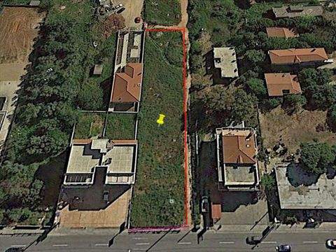 Attika Bauernhöfe, Landwirtschaft, Attika Forstwirtschaft