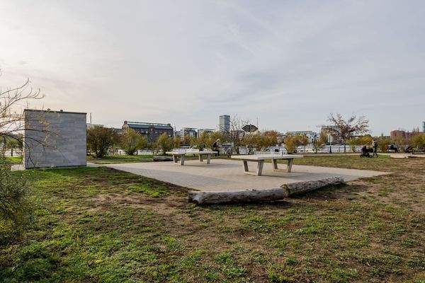 Blick vom Haus in den Park