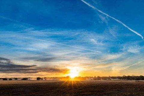 Marktredwitz Bauernhöfe, Landwirtschaft, Marktredwitz Forstwirtschaft