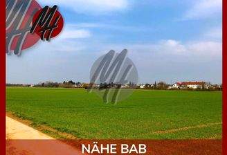 INFOS UNTER: 06171-586000