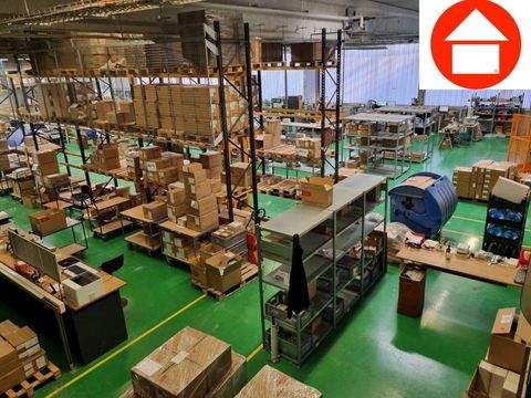 Mettmann Halle, Mettmann Hallenfläche