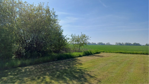 Sonnewalde Grundstücke, Sonnewalde Grundstück kaufen