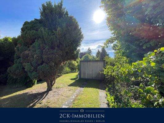 Albrecht-Dürer 22 006