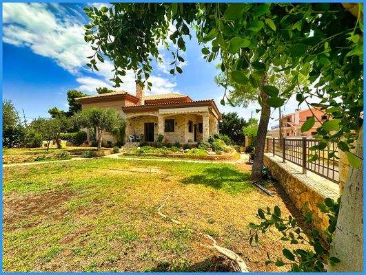 1b334f767f5f4fd0b1c81396be226774-original