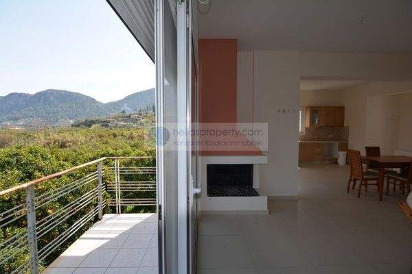 img_359df5f8-e87a-4e94-877d-8d8338d9f3cf