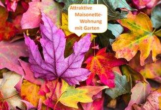 Herbstbild