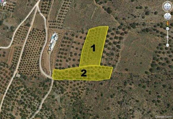 Kreta, Kavousi: 2 Baugrundstücke mit Meerblick in Tholos zu verkaufen