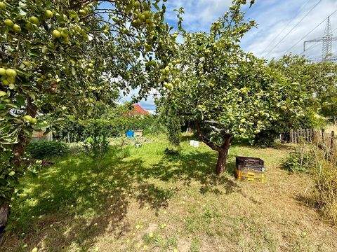 Ahrensfelde / Lindenberg Grundstücke, Ahrensfelde / Lindenberg Grundstück kaufen