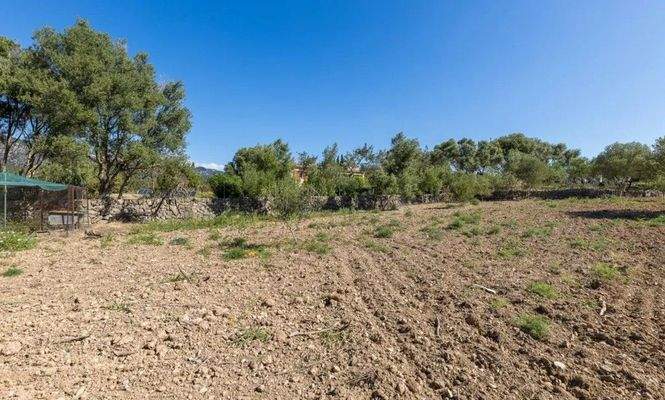 Finca zum Ausbau zwischen Santa Maria und Alaró zu verkaufen, Mallorca