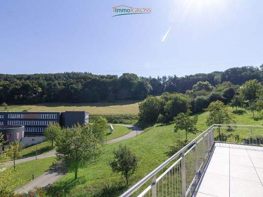 Aussicht auf den Hünerberg