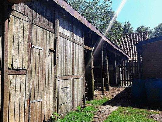 Schuppen.jpg