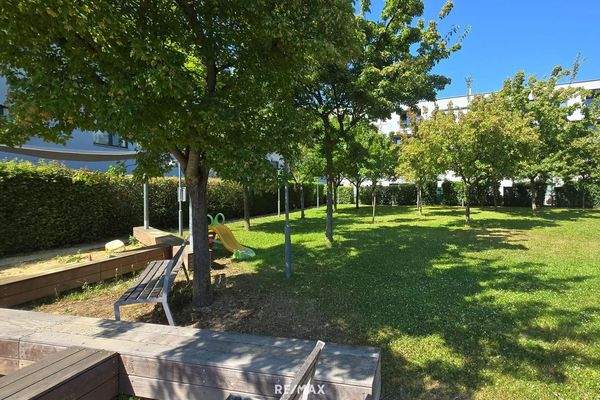 13 Gemeinschaftsgarten