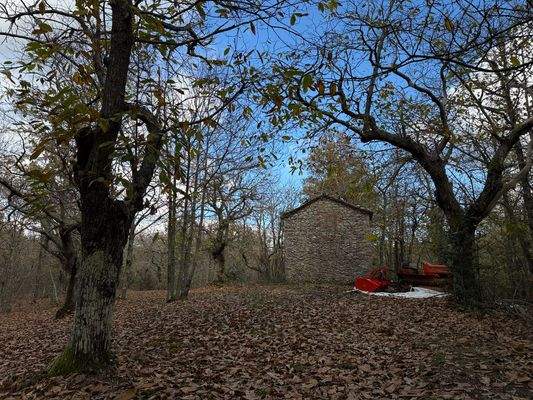 5FB28E1A-2A5B-4927-8A52-8D96E059126F_1_102_o