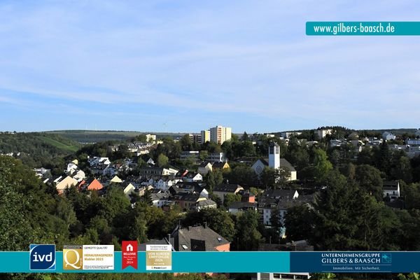 Blick auf Trier-Olewig