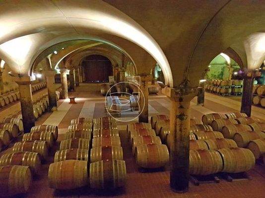 Luxuriöses Anwesen | Castellina in Chianti