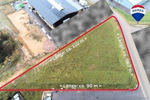 Saarburg / Beurig Halle, Saarburg / Beurig Hallenfläche