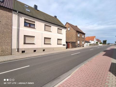 Muldestausee Wohnungen, Muldestausee Wohnung mieten