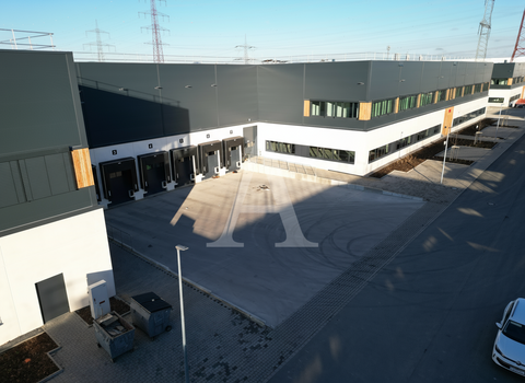 Frechen Halle, Frechen Hallenfläche