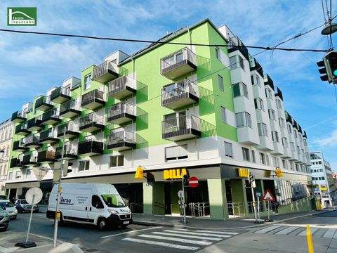 Wien Wohnungen, Wien Wohnung mieten