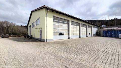 Wörth an der Donau / Weihern Halle, Wörth an der Donau / Weihern Hallenfläche