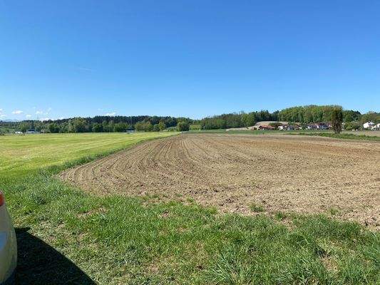 Übersicht auf die Fläche mit Zufahrt