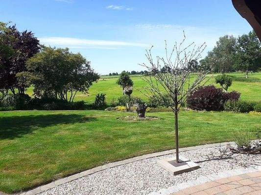 Blick über die Wiesen..