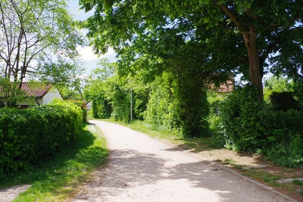 Grünspange zum Stadtwald