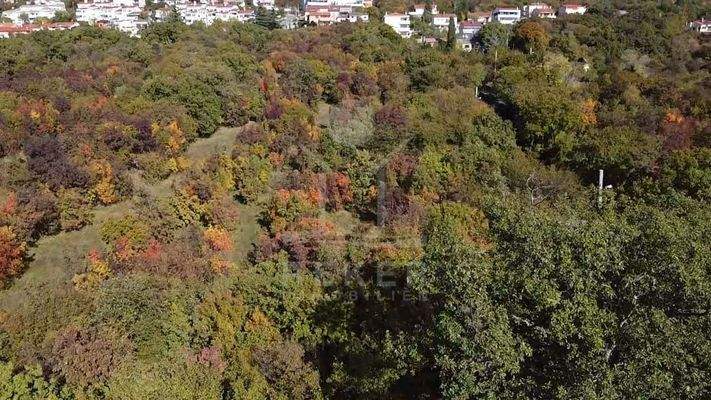 Viel Platz und viele Optionen