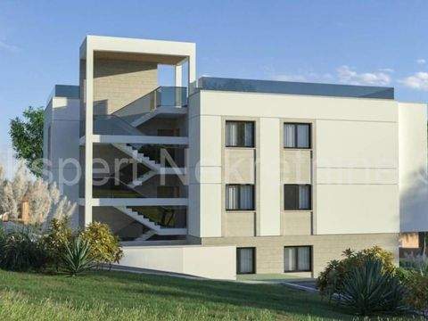 Okrug Wohnungen, Okrug Wohnung kaufen