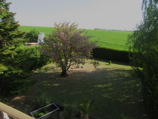 14 Garten