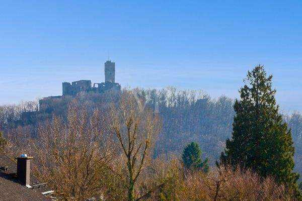 Ausblick auf die Burg