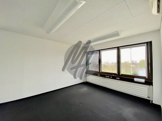 INFOS UNTER: 06171-586000