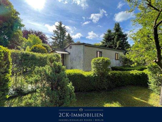 Albrecht-Dürer 22 008