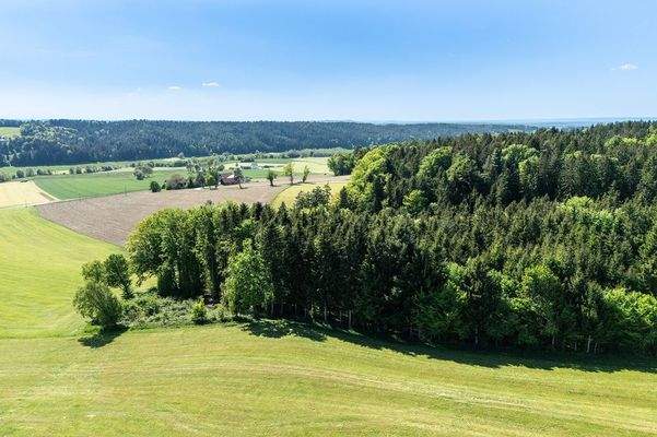 Mayr Immobilien-Haus Maria Schmolln-250430-06-Web