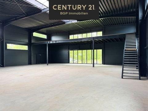 Bensheim Halle, Bensheim Hallenfläche
