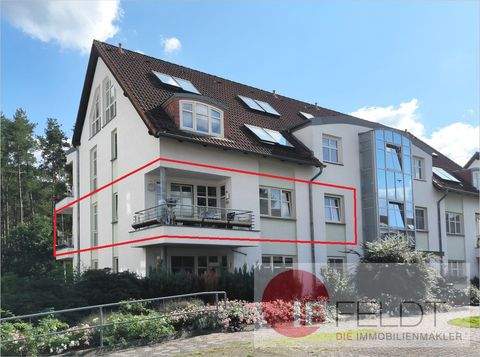 Seddiner See / Neuseddin Wohnungen, Seddiner See / Neuseddin Wohnung kaufen