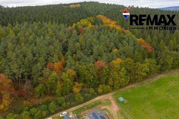 Grundstuck Hentern -  22 - mit blur